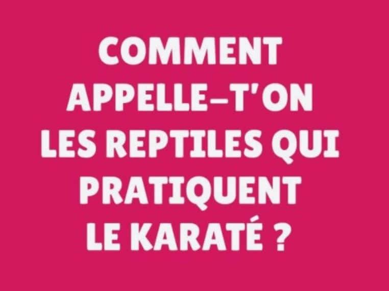 gallerie-blague-carambar-lézards