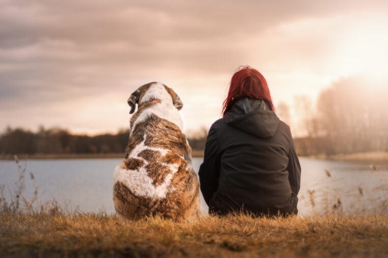 Un chien sauve la vie d'une femme qui est sur le point de se suicider