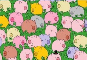 cochon
