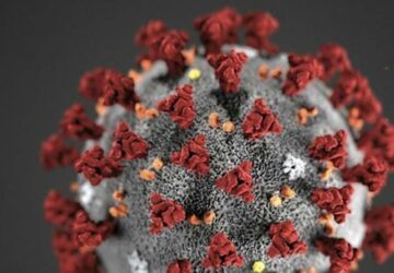 coronavirus