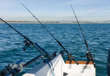 pêche