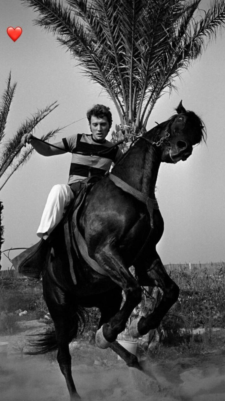 publication-laura-smet-hommage-johnny-hallyday