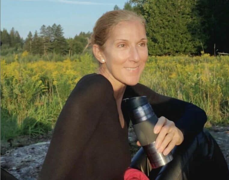 céline dion cheveux blancs