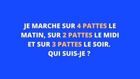 enigme pattes
