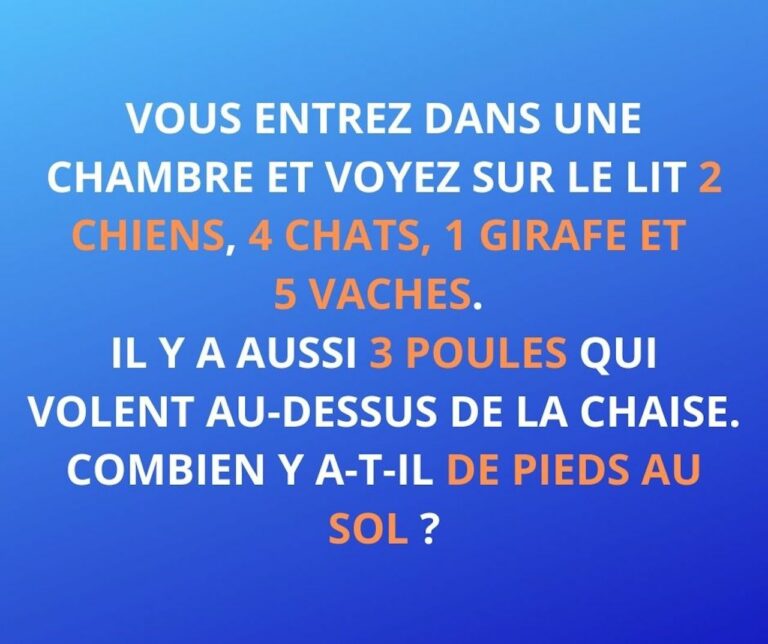 Enigme 2 Chiens 4 Chevaux 1 Girafe Enigme 2 Chiens 4 Chevaux 1 Girafe