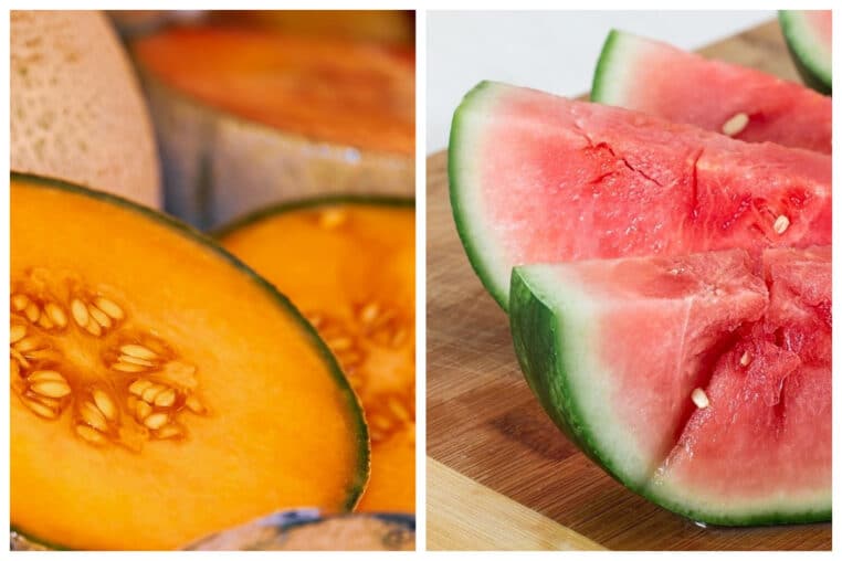 Pastèque VS melon : qui a le plus de bienfaits ?