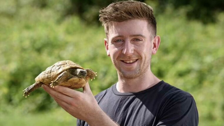 il retrouve sa tortue après un an à un kilomètre de chez lui