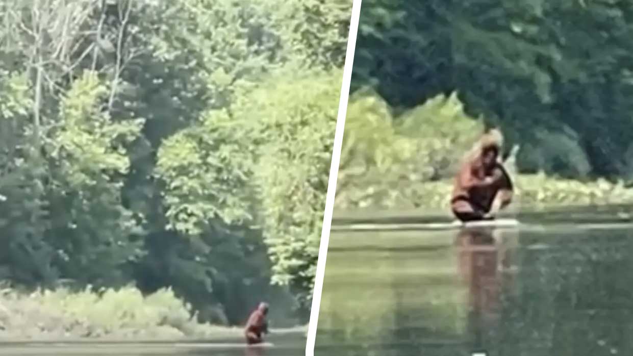 Le Yeti atil été filmé dans le Michigan