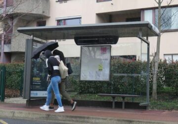 bus