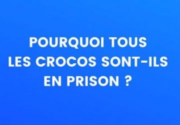 blague crocos