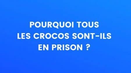 blague crocos