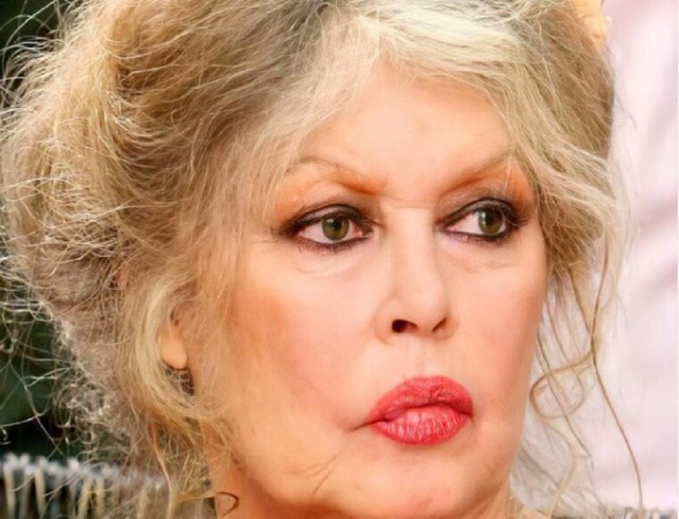 Brigitte Bardo : ses propos d'une rare violence au sujet de son propre fils !