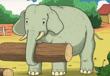 elephant