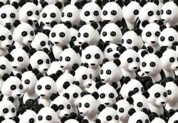 enigme chien panda