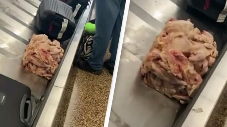 de la viande de poulet crue sur le carrousel à bagages