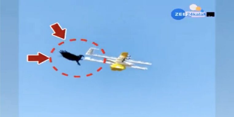 attaque drone corbeau