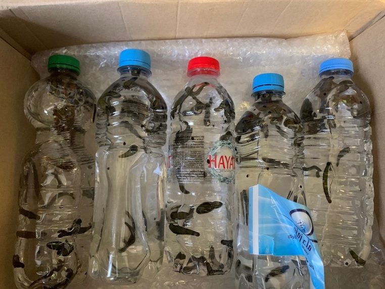 sangsues colis faits divers