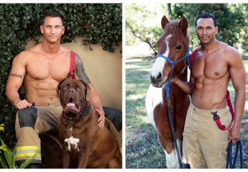 calendrier-pompiers-australiens-images-animaux