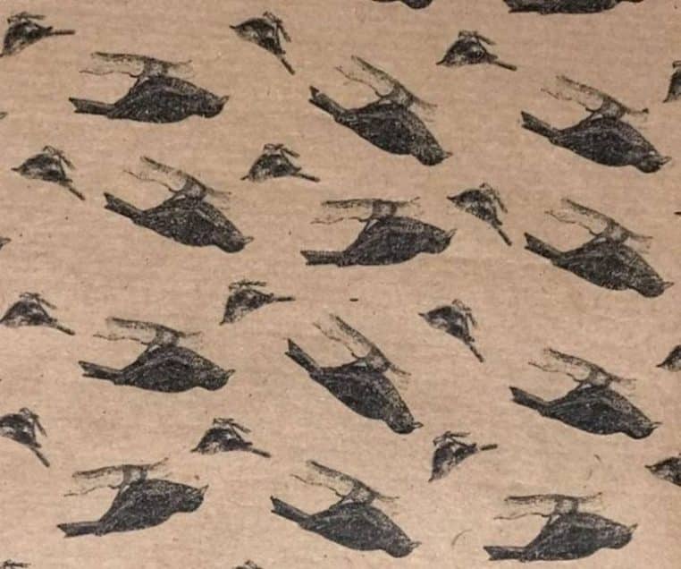 DOUBLE dessins bizzares