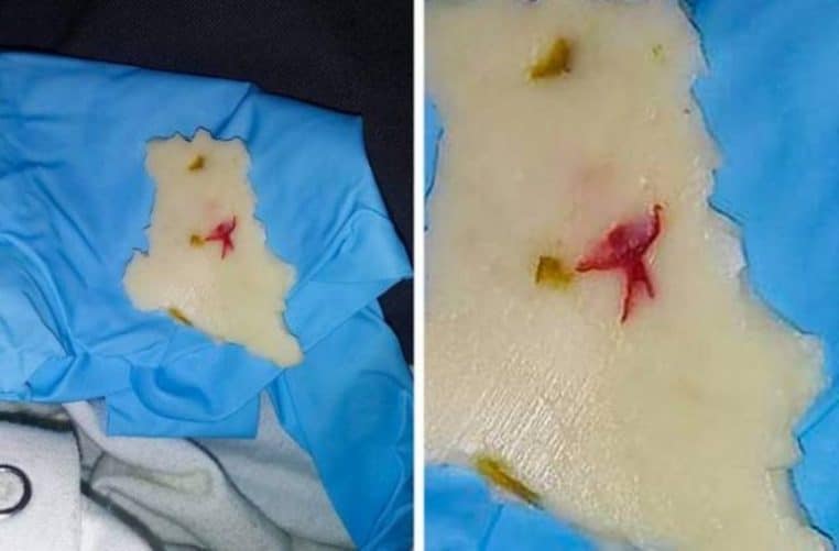 DOUBLE fromage illusion