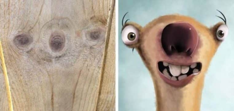 DOUBLE sid ressemblance