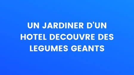 humour