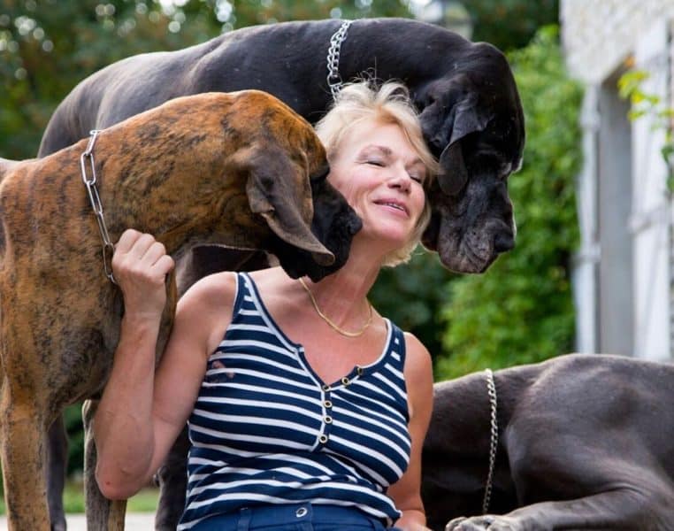 brigitte Lahaie chiens