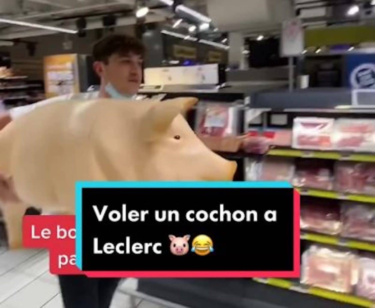 cochon