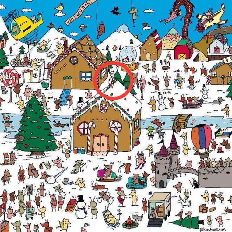 solution panda enigme