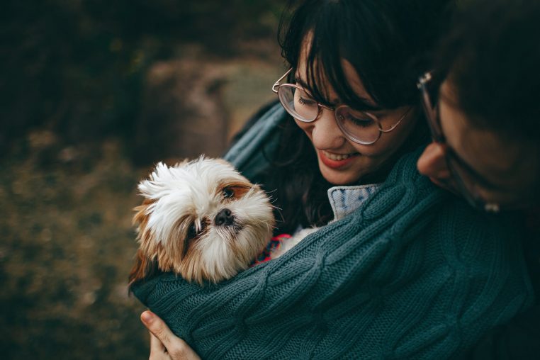 Chien de la famille