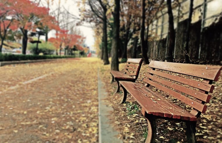 Deux hommes sur un banc