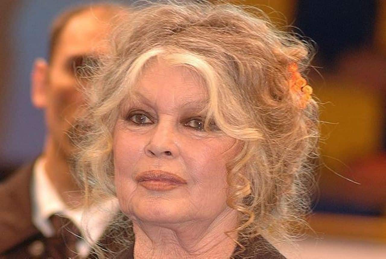 brigitte bardot