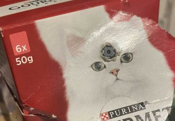 une caméra cachée dans une boite de nourriture pour chat