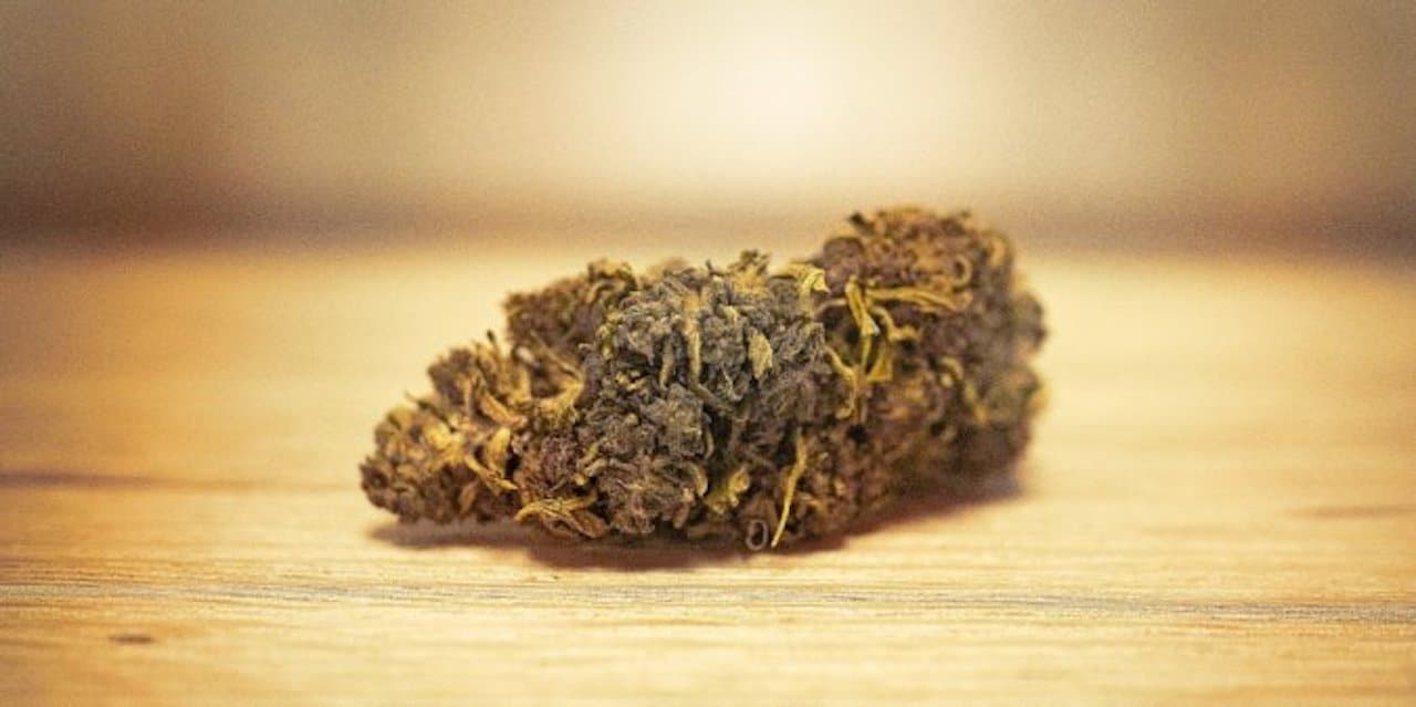 cbd fleur consommation