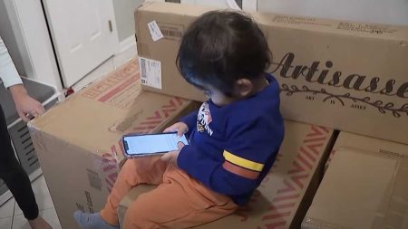 un bébé dépense 2000 dollars sur le téléphone de sa mère