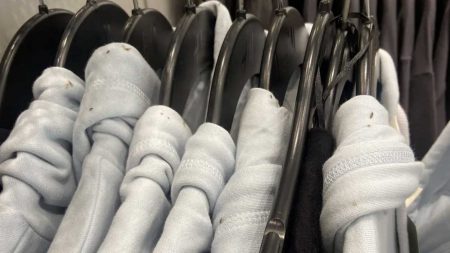 h&m ferme insectes sur les vêtements