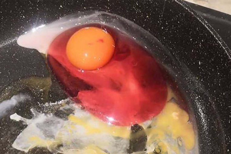 œuf poele couleur etrange