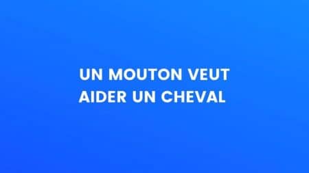 blague cheval