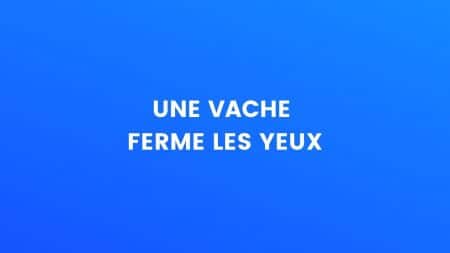blague vache
