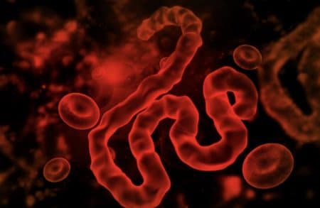 ebola