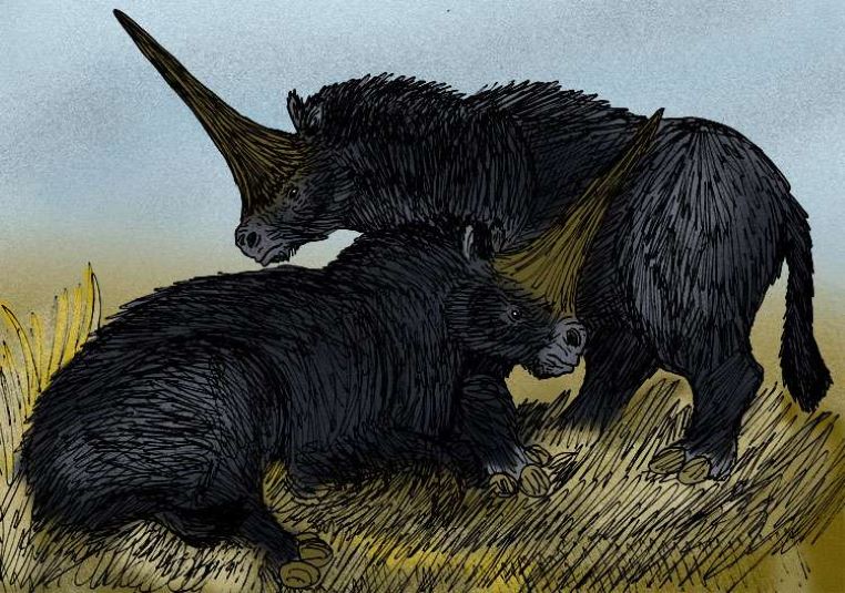 elasmotherium-sibiricum-black