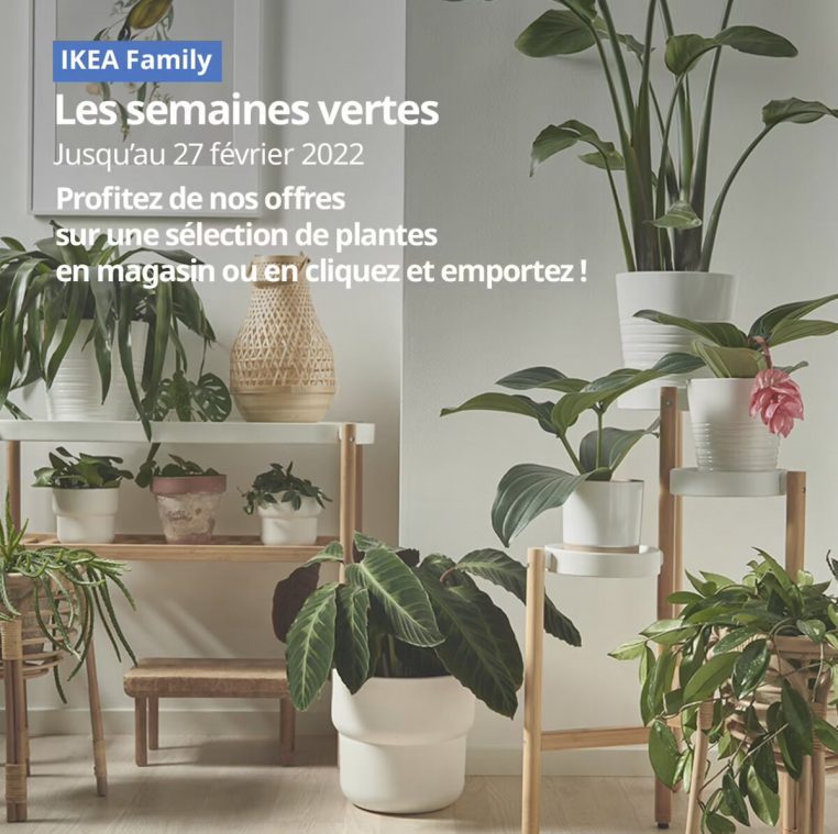 Ikea propose plantes