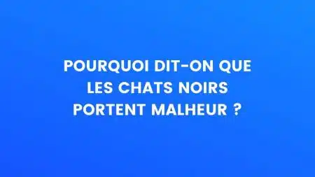 le saviez-vous chat noir