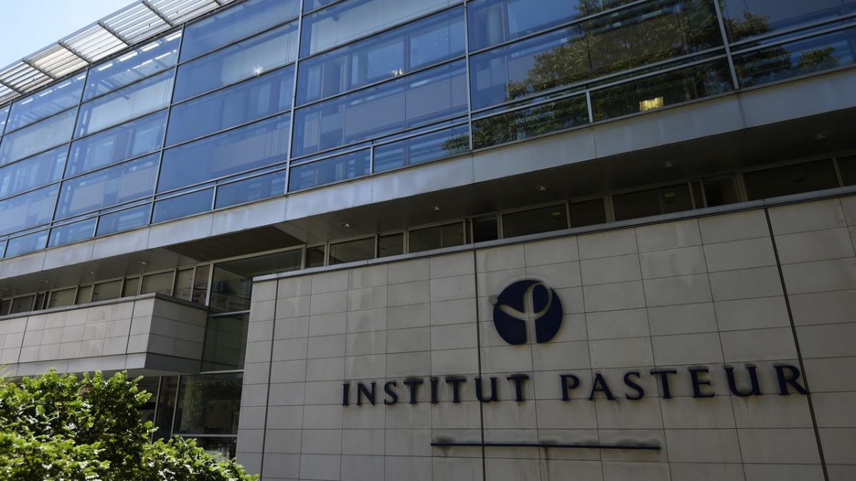 institut pasteur voyage contact