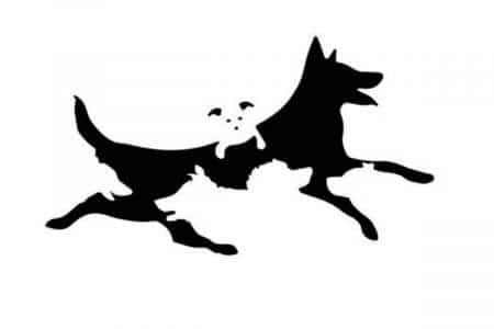 test personnalite age chiens