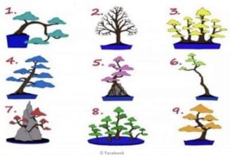 arbre