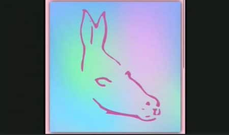 Sirène, poisson, phoque... quel animal voyez-vous sur cette illusion d'optique ?