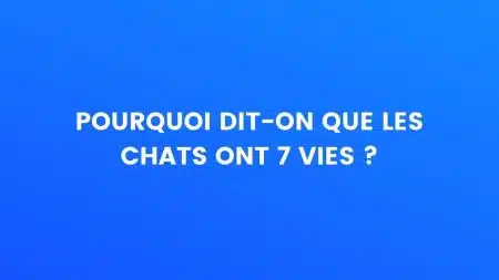 chats