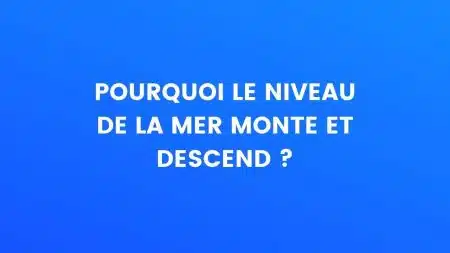 Template Le Saviez-vous