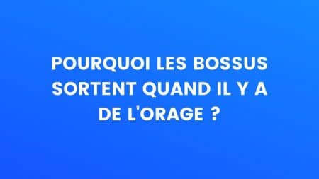 Blague les bossus